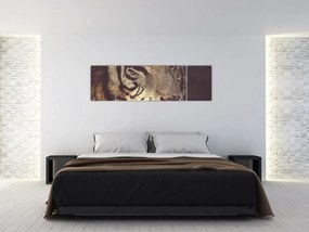 Obraz tygrysa (170x50 cm)
