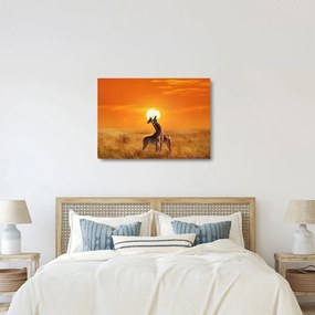 Obraz na szkle - Żyrafy w Parku Narodowym Serengeti (70x50 cm)