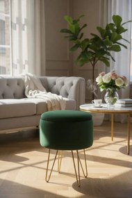 Nowoczesna pufa z otwieranym pojemnikiem T5-W49