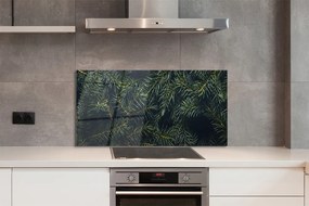 Panel szklany do Kuchni Świerkowe Gałązki