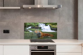 Panel szklany do Kuchni Tygrys nad Górskim Wodospadem