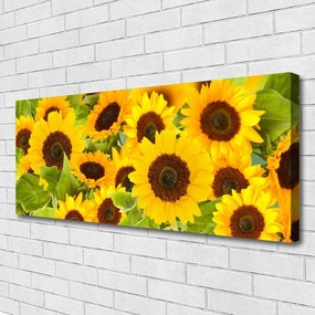 Fotoobraz na płótnie Radosne Słoneczniki