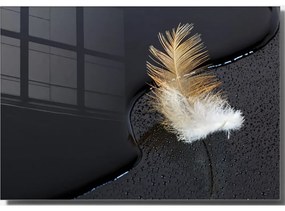 Szklany obraz 70x50 cm Feather – Wallity