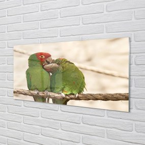 Panel szklany do Kuchni Stado Zielonych Papug