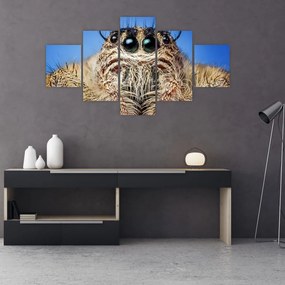 Obraz szczegółu pająka (125x70 cm)