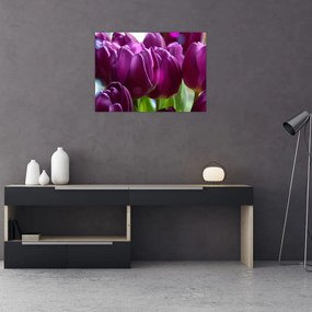 Obraz na szkle - tulipanów (70x50 cm)