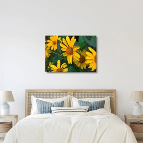 Obraz żółtych kwiatów (70x50 cm)