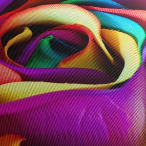 Obraz - Kolorowa róża (125x70 cm)
