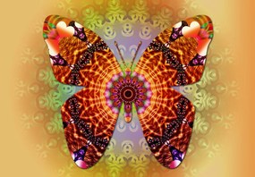 Fototapeta - Etno motyl (196x136 cm)