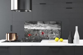 Panel Szklany Sielska Polana Kwiatowa