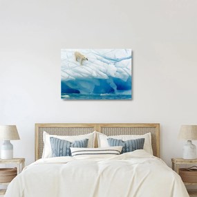 Obraz na szkle - Niedźwiedź polarny (70x50 cm)