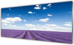 Szkło Ozdobne do Kuchni Kwiatowy Dywan Na Polanie