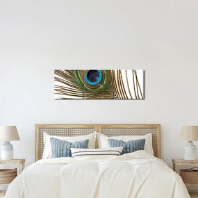 Obraz pawich piór (z zegarem) (90x30 cm)
