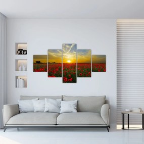 Obraz pola maków (125x70 cm)
