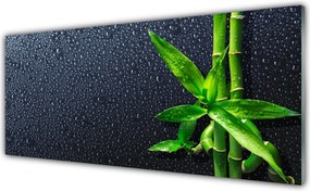 Panel Szklany do Kuchni Egzotyczny Pęd Bambusa