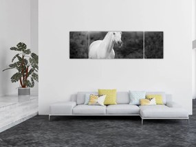 Obraz białego konia na łące, czarno - biały (170x50 cm)