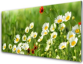 Szkło nad Blatem Wiosenna Stokrotka w Trawie