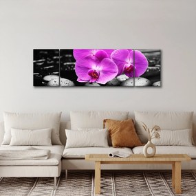 Obraz - Fioletowe orchidee (170x50 cm)