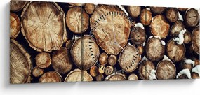 Obraz - Drewno w śniegu (z zegarem) (90x30 cm)