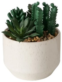 Sztuczna roślinka SUCCULENT, 12 cm