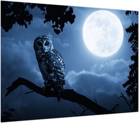 Obraz na szkle - Nocna Sowa (70x50 cm)
