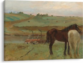 Obraz - Edgar Degas, Horses in a Meadow, reprodukcje (70x50 cm)