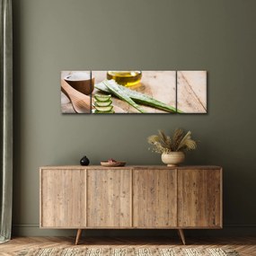 Obraz - Aloes (170x50 cm)