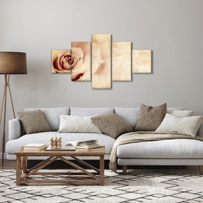Obraz - Kwiat róży dla zakochanych (125x70 cm)