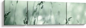 Obraz - Zielona łąka (170x50 cm)