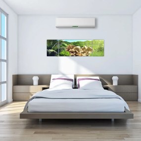 Obraz jeziora w dżungli Seszeli (170x50 cm)