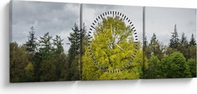 Obraz zielonego drzewa na środku pola (z zegarem) (90x30 cm)
