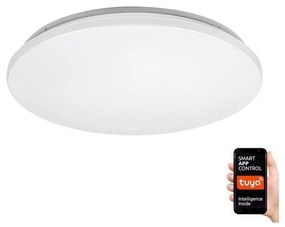 Rabalux 71035 - LED RGB Plafon ściemnialny CERRIGEN LED/24W/230V