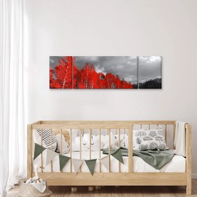 Obraz - Drzewa w kolorze jesieni (170x50 cm)