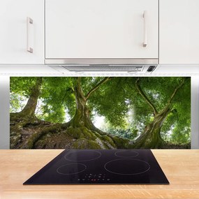 Panel Szklany do Kuchni Korony Rozłożystych Drzew