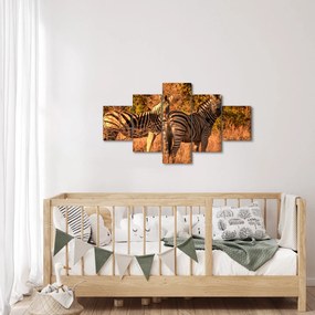 Obraz zebr (125x70 cm)