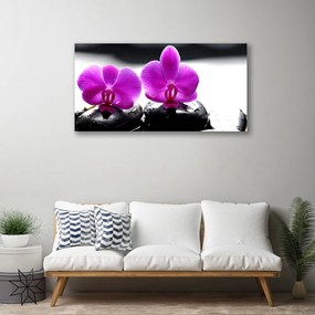 Obraz Canvas Kwiaty Orchidea Natura