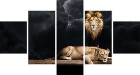 Obraz - Lew i lwica w chmurach (125x70 cm)