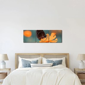 Obraz - motyl na pomarańczowym kwiatku (z zegarem) (90x30 cm)
