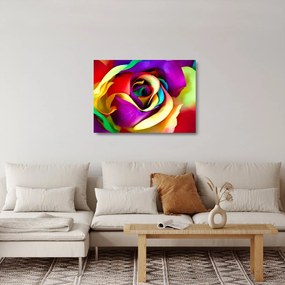 Obraz na szkle - Kolorowa róża (70x50 cm)