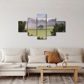 Obraz łąki z drzewem (125x70 cm)