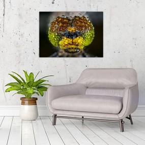 Obraz na szkle - szczegółowy obraz oczu owadów (70x50 cm)