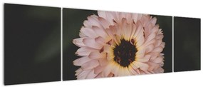 Obraz pomarańczowego kwiatu (170x50 cm)