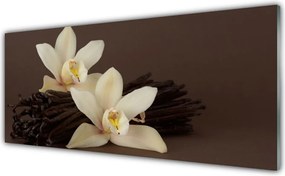 Panel Szklany do Kuchni Botaniczny Aromat Wanilii