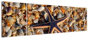 Obraz rozgwiazdy (170x50 cm)