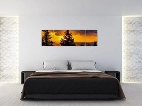 Obraz - drzewa iglaste (170x50 cm)