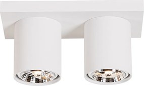 Nowoczesny plafon z reflektorami biały 2-światła - Tubo