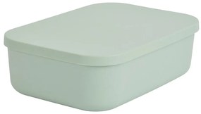 Jasnozielony plastikowy pojemnik z pokrywką 24x18x8 cm – Homéa