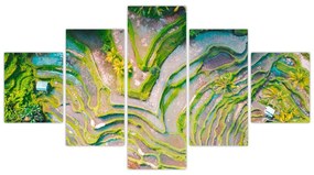 Obraz pól ryżowych z lotu ptaka (125x70 cm)