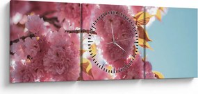 Obraz - Kwiat wiśni (z zegarem) (90x30 cm)