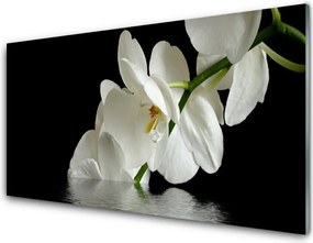 Panel nad blat kuchenny Orchidea Zanurzona w Wodzie